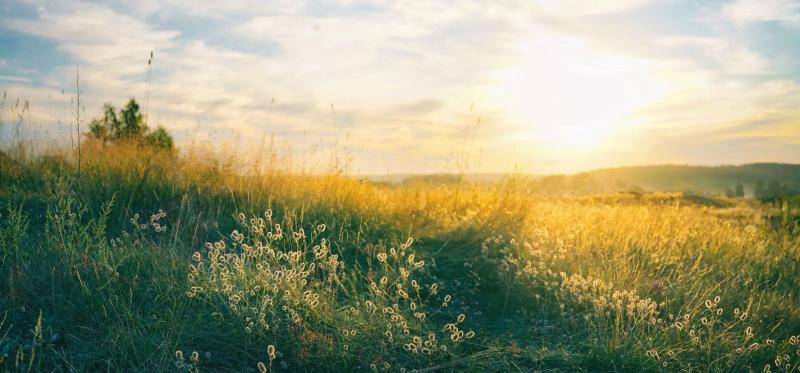sunny-countryside