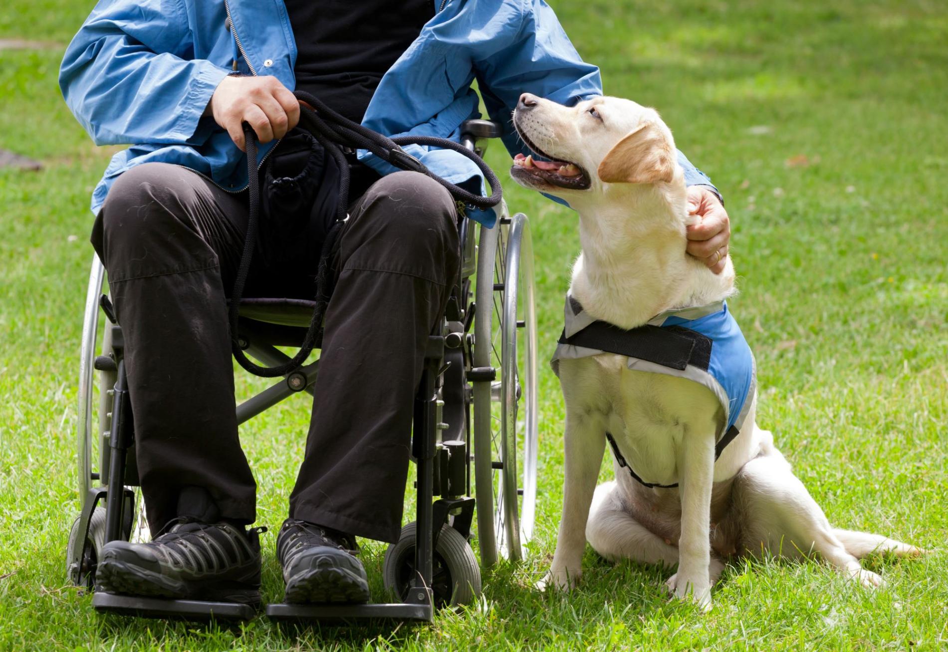 Individuele hulpmiddelen voor personen met een handicap